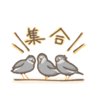 野鳥の子（個別スタンプ：28）