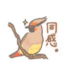 野鳥の子（個別スタンプ：33）