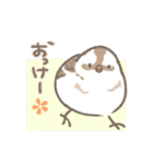 野鳥の子（個別スタンプ：34）