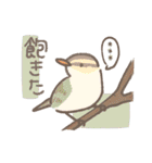 野鳥の子（個別スタンプ：36）