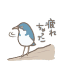 野鳥の子（個別スタンプ：37）
