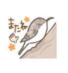 野鳥の子（個別スタンプ：40）