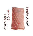 年中使える敬語まぐろ（個別スタンプ：1）