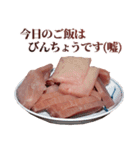 年中使える敬語まぐろ（個別スタンプ：31）