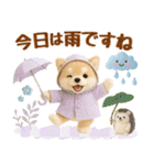 しばいぬの大人可愛い梅雨スタンプ（個別スタンプ：5）