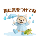 しばいぬの大人可愛い梅雨スタンプ（個別スタンプ：6）
