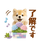 しばいぬの大人可愛い梅雨スタンプ（個別スタンプ：10）
