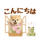 しばいぬの大人可愛い梅雨スタンプ（個別スタンプ：11）