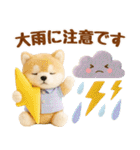 しばいぬの大人可愛い梅雨スタンプ（個別スタンプ：14）
