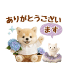 しばいぬの大人可愛い梅雨スタンプ（個別スタンプ：18）