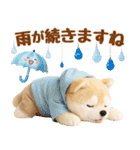 しばいぬの大人可愛い梅雨スタンプ（個別スタンプ：21）