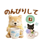 しばいぬの大人可愛い梅雨スタンプ（個別スタンプ：24）