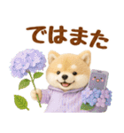 しばいぬの大人可愛い梅雨スタンプ（個別スタンプ：31）