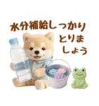 しばいぬの大人可愛い梅雨スタンプ（個別スタンプ：35）