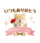 しばいぬの大人可愛い梅雨スタンプ（個別スタンプ：39）