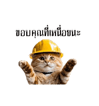 動く！猫の現場仕事（タイ版）（個別スタンプ：1）