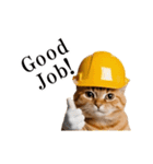 動く！猫の現場仕事（タイ版）（個別スタンプ：3）