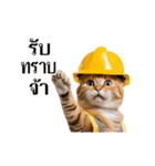 動く！猫の現場仕事（タイ版）（個別スタンプ：5）