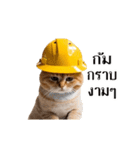 動く！猫の現場仕事（タイ版）（個別スタンプ：11）