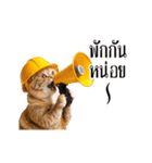 動く！猫の現場仕事（タイ版）（個別スタンプ：12）
