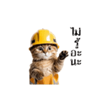 動く！猫の現場仕事（タイ版）（個別スタンプ：14）