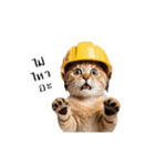 動く！猫の現場仕事（タイ版）（個別スタンプ：15）