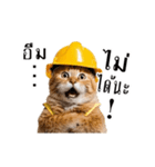 動く！猫の現場仕事（タイ版）（個別スタンプ：16）