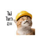 動く！猫の現場仕事（タイ版）（個別スタンプ：17）