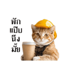 動く！猫の現場仕事（タイ版）（個別スタンプ：18）