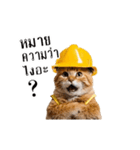 動く！猫の現場仕事（タイ版）（個別スタンプ：20）