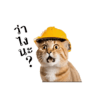 動く！猫の現場仕事（タイ版）（個別スタンプ：21）