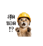 動く！猫の現場仕事（タイ版）（個別スタンプ：22）