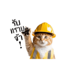 動く！猫の現場仕事（タイ版）（個別スタンプ：24）