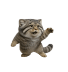 ファット・パラスの猫 （NT） v.2（個別スタンプ：2）