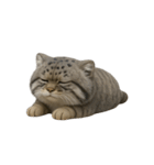 ファット・パラスの猫 （NT） v.2（個別スタンプ：4）