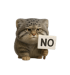 ファット・パラスの猫 （NT） v.2（個別スタンプ：5）