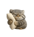 ファット・パラスの猫 （NT） v.2（個別スタンプ：6）