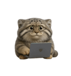 ファット・パラスの猫 （NT） v.2（個別スタンプ：9）