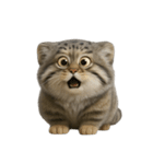ファット・パラスの猫 （NT） v.2（個別スタンプ：11）