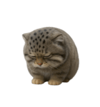 ファット・パラスの猫 （NT） v.2（個別スタンプ：13）