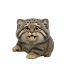 ファット・パラスの猫 （NT） v.2（個別スタンプ：16）