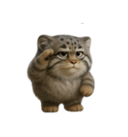 ファット・パラスの猫 （NT） v.2（個別スタンプ：21）