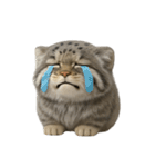 ファット・パラスの猫 （NT） v.2（個別スタンプ：22）