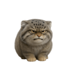 ファット・パラスの猫 （NT） v.2（個別スタンプ：26）