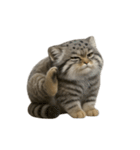 ファット・パラスの猫 （NT） v.2（個別スタンプ：29）