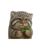 ファット・パラスの猫 （NT） v.2（個別スタンプ：32）