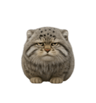 ファット・パラスの猫 （NT） v.2（個別スタンプ：38）
