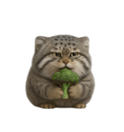 ファット・パラスの猫 （NT） v.2（個別スタンプ：39）