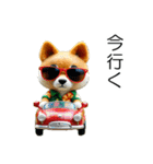 小さいやんちゃな柴犬（個別スタンプ：11）