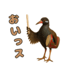 仲良し三匹 エイサー編（個別スタンプ：7）